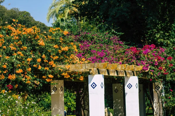 Seville İspanya 28 Eylül 2021 Maria Luisa Parkı, Endülüs Bölgesi 'nin başkenti ve sembolik şehri Sevilla' nın ilk yeşil akciğerlerinden biridir.