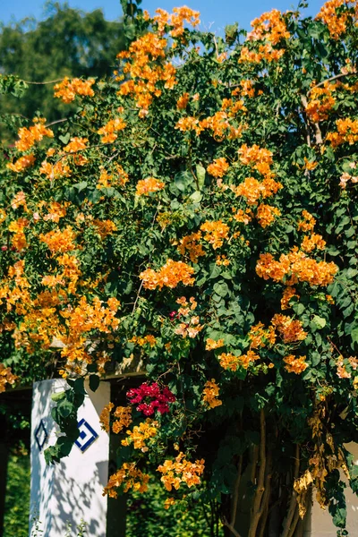 Seville İspanya 28 Eylül 2021 Maria Luisa Parkı, Endülüs Bölgesi 'nin başkenti ve sembolik şehri Sevilla' nın ilk yeşil akciğerlerinden biridir.