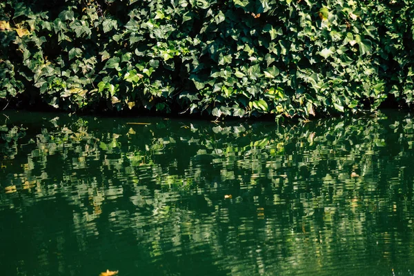 Seville İspanya 28 Eylül 2021 Maria Luisa Parkı, Endülüs Bölgesi 'nin başkenti ve sembolik şehri Sevilla' nın ilk yeşil akciğerlerinden biridir.