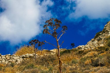 Santorini Adası, Perissa, Yunanistan - 17 Ekim 2021 Santorini 'de Antik Thira yürüyüş yolu, Perissa' ya giden antik yol sizi Profitis Elias ve Mesa Vouno 'nun zirvesine çıkarır.