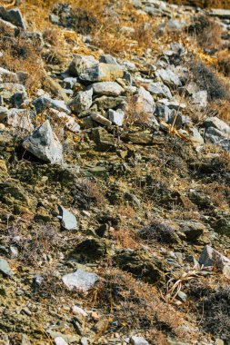 Santorini Adası, Perissa, Yunanistan - 17 Ekim 2021 Santorini 'de Antik Thira yürüyüş yolu, Perissa' ya giden antik yol sizi Profitis Elias ve Mesa Vouno 'nun zirvesine çıkarır.