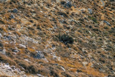 Santorini Adası, Perissa, Yunanistan - 17 Ekim 2021 Santorini 'de Antik Thira yürüyüş yolu, Perissa' ya giden antik yol sizi Profitis Elias ve Mesa Vouno 'nun zirvesine çıkarır.