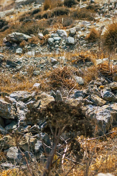 Insel Santorin Perissa Griechenland Oktober 2021 Antiker Thira Wanderweg Auf — Stockfoto