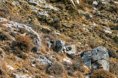 Santorini Adası, Perissa, Yunanistan - 17 Ekim 2021 Santorini 'de Antik Thira yürüyüş yolu, Perissa' ya giden antik yol sizi Profitis Elias ve Mesa Vouno 'nun zirvesine çıkarır.