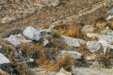 Santorini Adası, Perissa, Yunanistan - 17 Ekim 2021 Santorini 'de Antik Thira yürüyüş yolu, Perissa' ya giden antik yol sizi Profitis Elias ve Mesa Vouno 'nun zirvesine çıkarır.