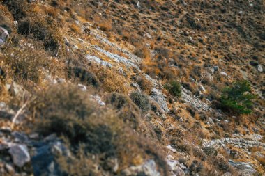 Santorini Adası, Perissa, Yunanistan - 17 Ekim 2021 Santorini 'de Antik Thira yürüyüş yolu, Perissa' ya giden antik yol sizi Profitis Elias ve Mesa Vouno 'nun zirvesine çıkarır.
