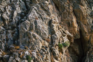 Santorini Adası, Perissa, Yunanistan - 17 Ekim 2021 Santorini 'de Antik Thira yürüyüş yolu, Perissa' ya giden antik yol sizi Profitis Elias ve Mesa Vouno 'nun zirvesine çıkarır.