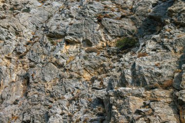 Santorini Adası, Perissa, Yunanistan - 17 Ekim 2021 Santorini 'de Antik Thira yürüyüş yolu, Perissa' ya giden antik yol sizi Profitis Elias ve Mesa Vouno 'nun zirvesine çıkarır.