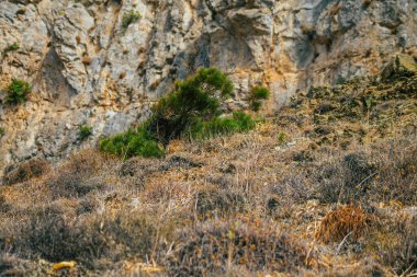 Santorini Adası, Perissa, Yunanistan - 17 Ekim 2021 Santorini 'de Antik Thira yürüyüş yolu, Perissa' ya giden antik yol sizi Profitis Elias ve Mesa Vouno 'nun zirvesine çıkarır.