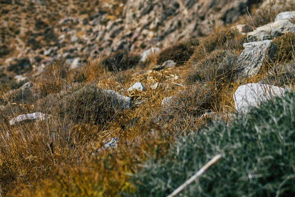 Santorini Island Perissa Greece October 2021 Ancient Thira Hiking Trail — стоковое фото