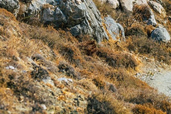 Île Santorin Perissa Grèce Octobre 2021 Ancien Sentier Randonnée Thira — Photo