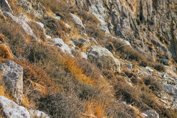 Isola Santorini Perissa Grecia Ottobre 2021 Antico Sentiero Escursionistico Thira — Foto Stock
