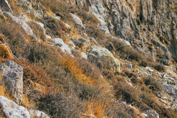 Île Santorin Perissa Grèce Octobre 2021 Ancien Sentier Randonnée Thira — Photo