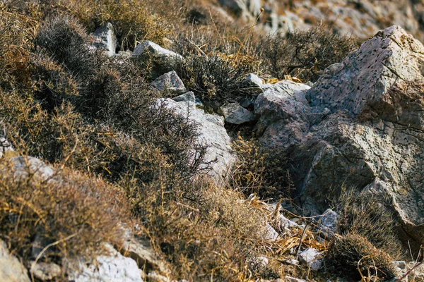 Île Santorin Perissa Grèce Octobre 2021 Ancien Sentier Randonnée Thira — Photo