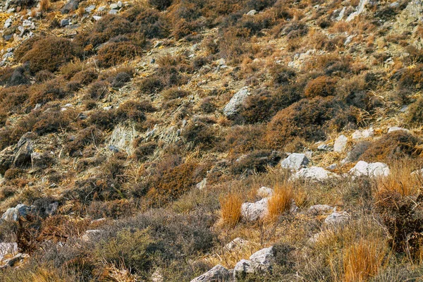 Île Santorin Perissa Grèce Octobre 2021 Ancien Sentier Randonnée Thira — Photo