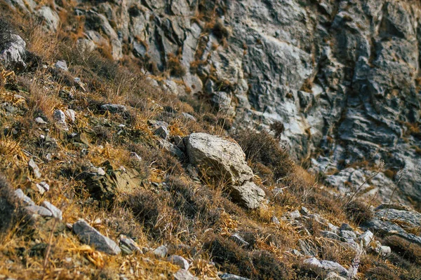 Insel Santorin Perissa Griechenland Oktober 2021 Antiker Thira Wanderweg Auf — Stockfoto