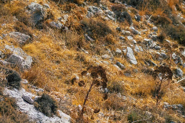 Santorini Island Perissa Greece October 2021 Ancient Thira Hiking Trail — Stock Photo, Image