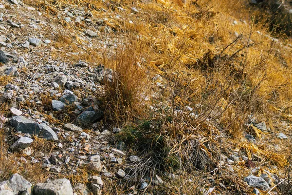 Santorini Island Perissa Greece October 2021 Ancient Thira Hiking Trail — Stock Photo, Image