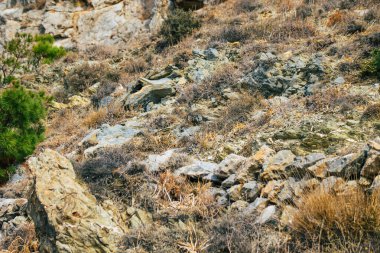 Santorini Adası, Perissa, Yunanistan - 17 Ekim 2021 Santorini 'de Antik Thira yürüyüş yolu, Perissa' ya giden antik yol sizi Profitis Elias ve Mesa Vouno 'nun zirvesine çıkarır.