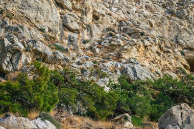 Santorini Adası, Perissa, Yunanistan - 17 Ekim 2021 Santorini 'de Antik Thira yürüyüş yolu, Perissa' ya giden antik yol sizi Profitis Elias ve Mesa Vouno 'nun zirvesine çıkarır.