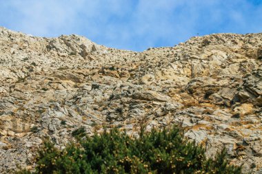 Santorini Adası, Perissa, Yunanistan - 17 Ekim 2021 Santorini 'de Antik Thira yürüyüş yolu, Perissa' ya giden antik yol sizi Profitis Elias ve Mesa Vouno 'nun zirvesine çıkarır.