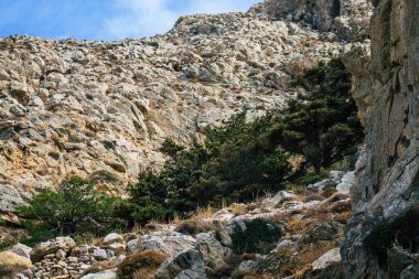 Santorini Adası, Perissa, Yunanistan - 17 Ekim 2021 Santorini 'de Antik Thira yürüyüş yolu, Perissa' ya giden antik yol sizi Profitis Elias ve Mesa Vouno 'nun zirvesine çıkarır.