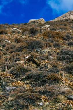 Santorini Adası, Perissa, Yunanistan - 17 Ekim 2021 Santorini 'de Antik Thira yürüyüş yolu, Perissa' ya giden antik yol sizi Profitis Elias ve Mesa Vouno 'nun zirvesine çıkarır.