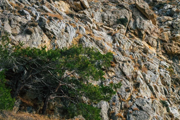 Île Santorin Perissa Grèce Octobre 2021 Ancien Sentier Randonnée Thira — Photo