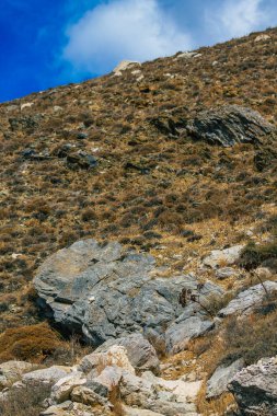 Santorini Adası, Perissa, Yunanistan - 17 Ekim 2021 Santorini 'de Antik Thira yürüyüş yolu, Perissa' ya giden antik yol sizi Profitis Elias ve Mesa Vouno 'nun zirvesine çıkarır.