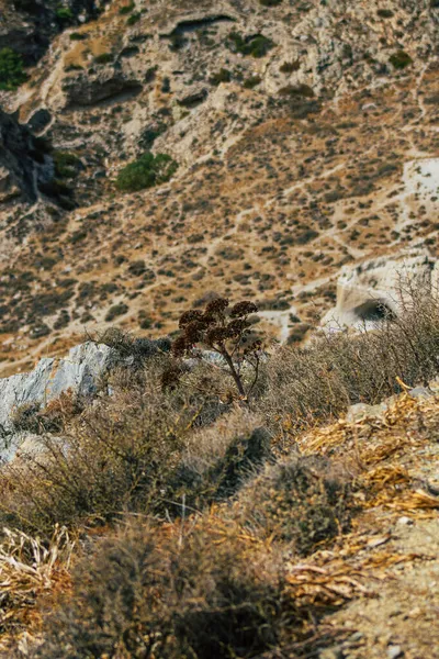 Santorini Island Perissa Greece October 2021 Ancient Thira Hiking Trail — Stock Photo, Image