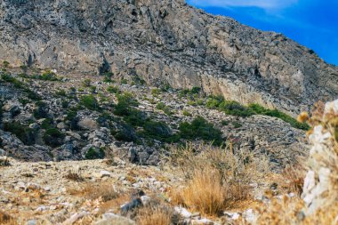 Santorini Adası, Perissa, Yunanistan - 17 Ekim 2021 Santorini 'de Antik Thira yürüyüş yolu, Perissa' ya giden antik yol sizi Profitis Elias ve Mesa Vouno 'nun zirvesine çıkarır.