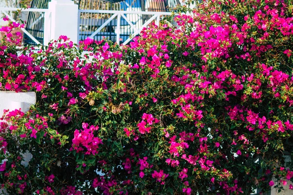 Santorini Adası Oia Yunanistan Ekim 2021 Oia Kentinin Manzarası Adanın — Stok fotoğraf