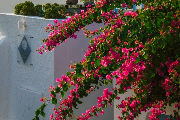 Santorini Island Oia Greece October 2021 Cityscape Town Oia Small — Stock Photo, Image