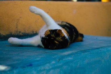 Santorini Adası, Fira, Yunanistan - 21 Ekim 2021 Fira sokakları, sembolik bir şehir ve Santorini adasının başkenti