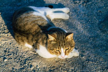 Santorini Adası, Fira, Yunanistan - 21 Ekim 2021 Fira sokakları, sembolik bir şehir ve Santorini adasının başkenti