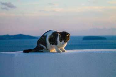 Santorini Adası, Fira, Yunanistan - 21 Ekim 2021 Fira sokakları, sembolik bir şehir ve Santorini adasının başkenti