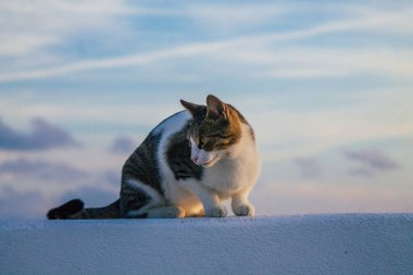 Santorini Adası, Fira, Yunanistan - 21 Ekim 2021 Fira sokakları, sembolik bir şehir ve Santorini adasının başkenti