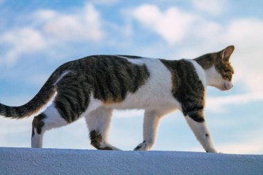 Santorini Adası, Fira, Yunanistan - 21 Ekim 2021 Fira sokakları, sembolik bir şehir ve Santorini adasının başkenti