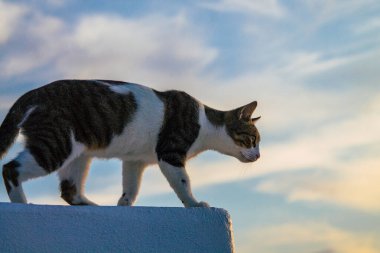 Santorini Adası, Fira, Yunanistan - 21 Ekim 2021 Fira sokakları, sembolik bir şehir ve Santorini adasının başkenti