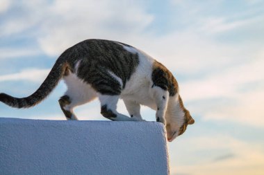 Santorini Adası, Fira, Yunanistan - 21 Ekim 2021 Fira sokakları, sembolik bir şehir ve Santorini adasının başkenti