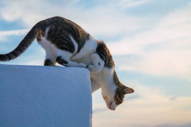 Santorini Adası, Fira, Yunanistan - 21 Ekim 2021 Fira sokakları, sembolik bir şehir ve Santorini adasının başkenti