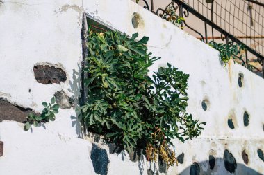 Santorini, Oia, Yunanistan - 24 Ekim 2021 Oia kentinin manzarası, bu adanın tipik küçük geleneksel beyaz evleri antik aktif volkanın yanında yer almaktadır.