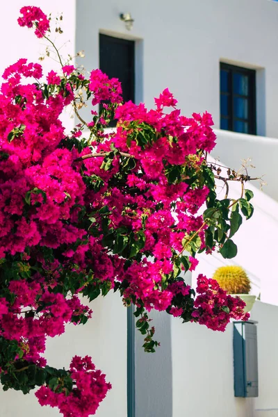 Santorini Megalochori Grekland Oktober 2021 Stadsbilden Megalochori Små Traditionella Vita — Stockfoto