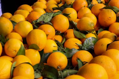 Atina, Yunanistan - 06 Kasım 2021 Exarchia bölgesindeki Kallidromiou caddesindeki Tipik Atina pazarı, canlı, koku ve yaşam dolu. Taze sebze, baharat, fındık, zeytin, balık pazarı.