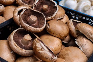 Atina, Yunanistan - 06 Kasım 2021 Exarchia bölgesindeki Kallidromiou caddesindeki Tipik Atina pazarı, canlı, koku ve yaşam dolu. Taze sebze, baharat, fındık, zeytin, balık pazarı.