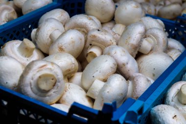 Atina, Yunanistan - 06 Kasım 2021 Exarchia bölgesindeki Kallidromiou caddesindeki Tipik Atina pazarı, canlı, koku ve yaşam dolu. Taze sebze, baharat, fındık, zeytin, balık pazarı.