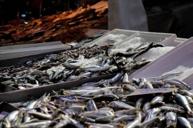 Atina, Yunanistan - 06 Kasım 2021 Exarchia bölgesindeki Kallidromiou caddesindeki Tipik Atina pazarı, canlı, koku ve yaşam dolu. Taze sebze, baharat, fındık, zeytin, balık pazarı.