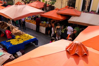 Atina, Yunanistan - 06 Kasım 2021 Exarchia bölgesindeki Kallidromiou caddesindeki Tipik Atina pazarı, canlı, koku ve yaşam dolu. Taze sebze, baharat, fındık, zeytin, balık pazarı.