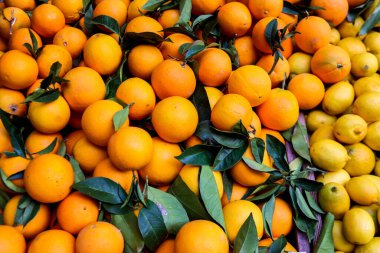 Atina, Yunanistan - 06 Kasım 2021 Exarchia bölgesindeki Kallidromiou caddesindeki Tipik Atina pazarı, canlı, koku ve yaşam dolu. Taze sebze, baharat, fındık, zeytin, balık pazarı.