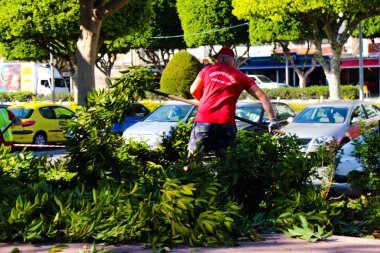 Limasol, Kıbrıs - Kıbrıs Rum Kesimi 'ni vuran koronavirüs salgını sırasında Limasol kentinin göbeğindeki sahil caddesindeki parkta çalışan 28 Kasım 2021